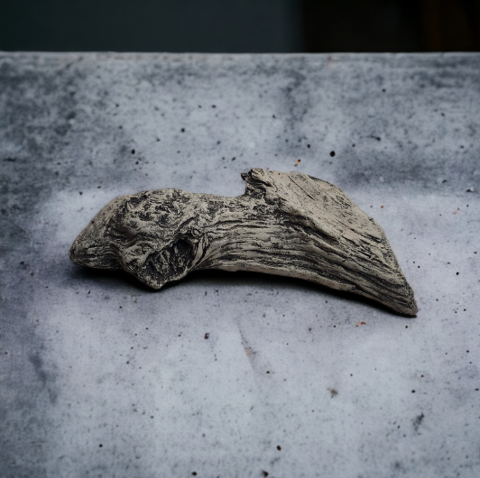 Driftwood #05