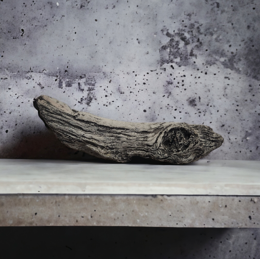 Driftwood #05