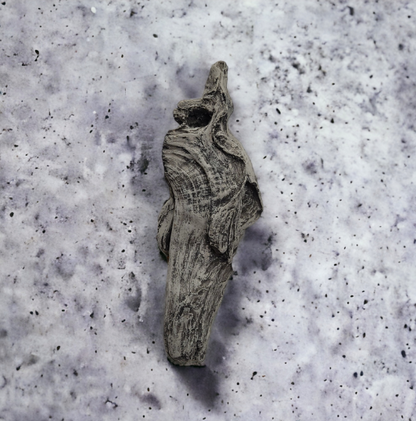 Driftwood #06