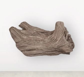 Driftwood #09