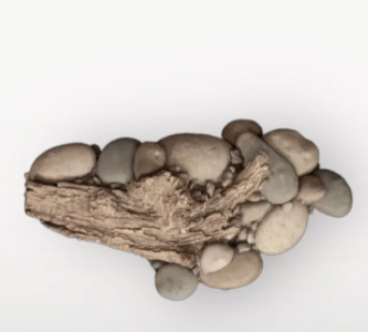 Medium River Rocks
