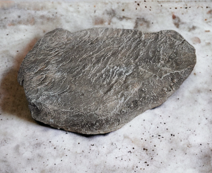 Rock #13