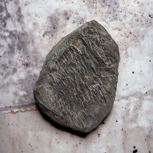 Rock #13