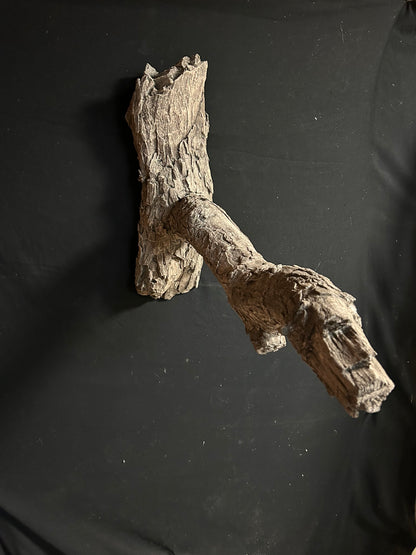 Turkey Limb