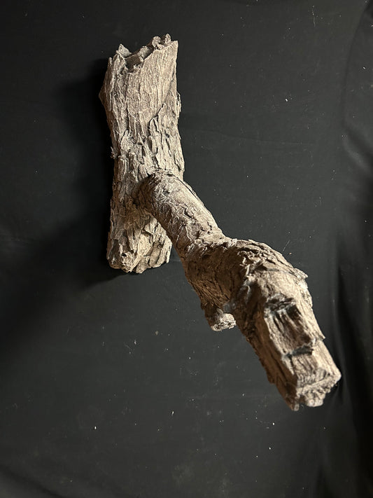 Turkey Limb